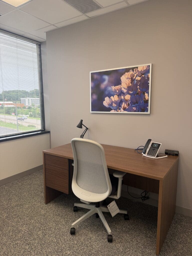 New Directions Mental Health - McCandless, PA - Therapy Office